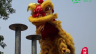 梧州藤县狮舞技艺